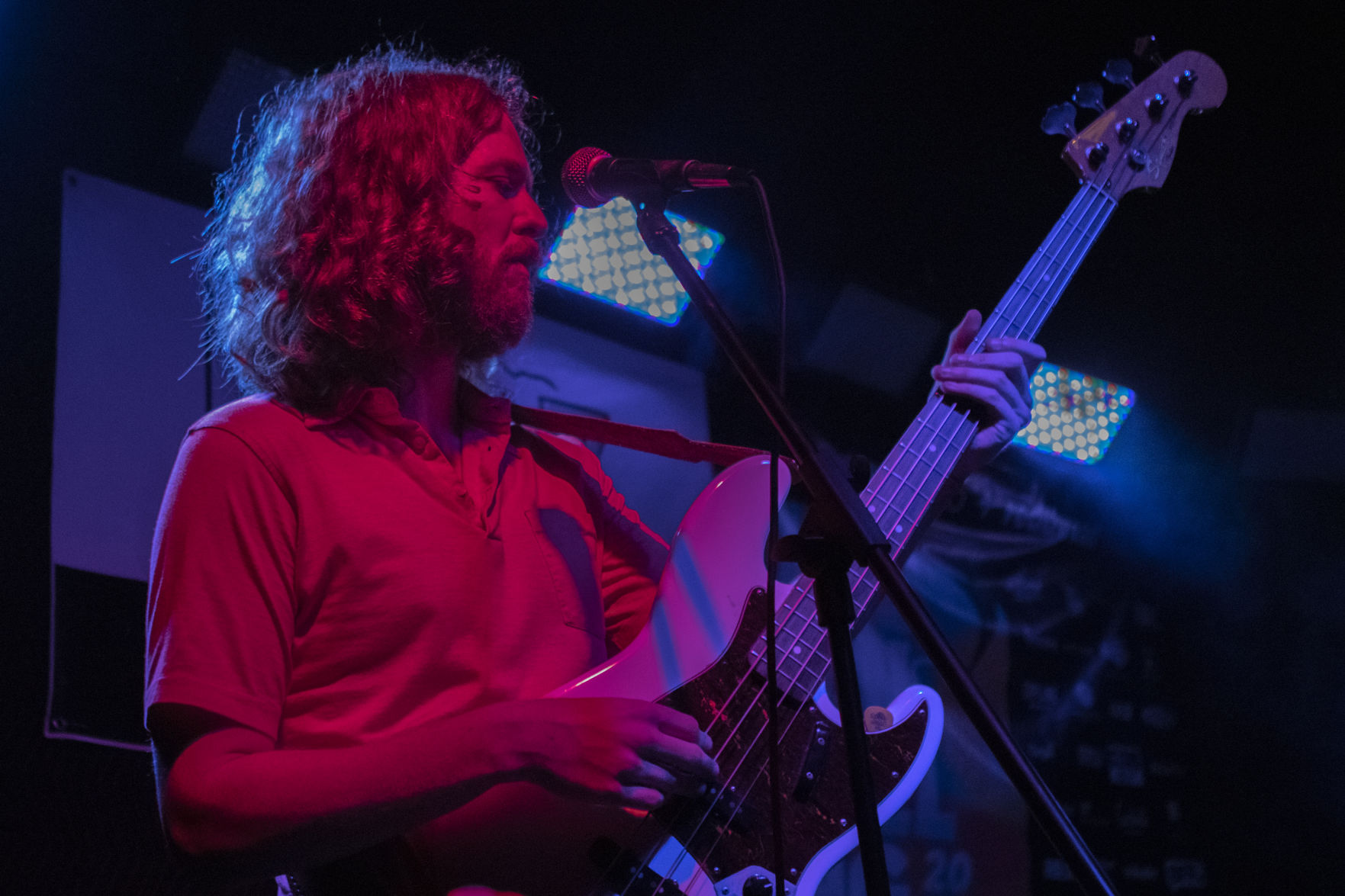 Triptides Recap